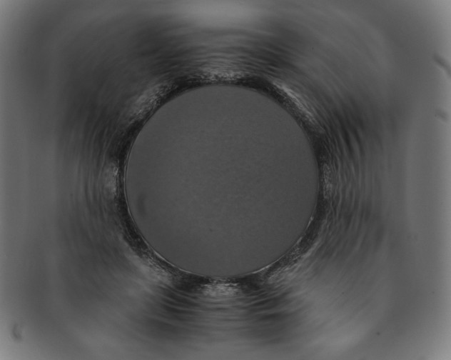 X0000091200451200709061416