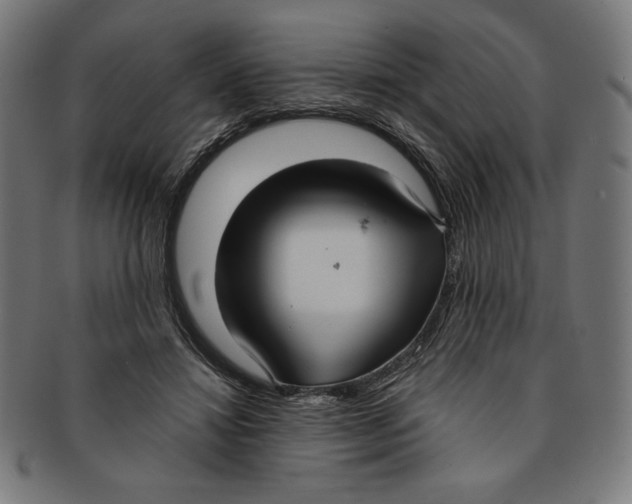 X0000091200452200709061416