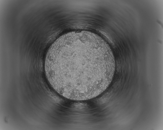 X0000091200453200709061416