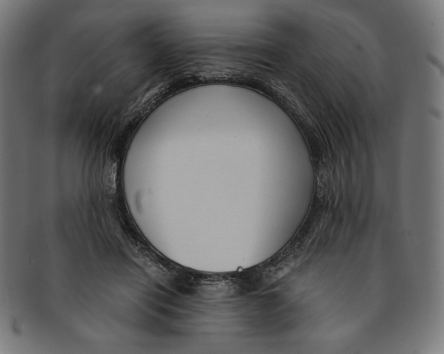 X0000091200454200709061416
