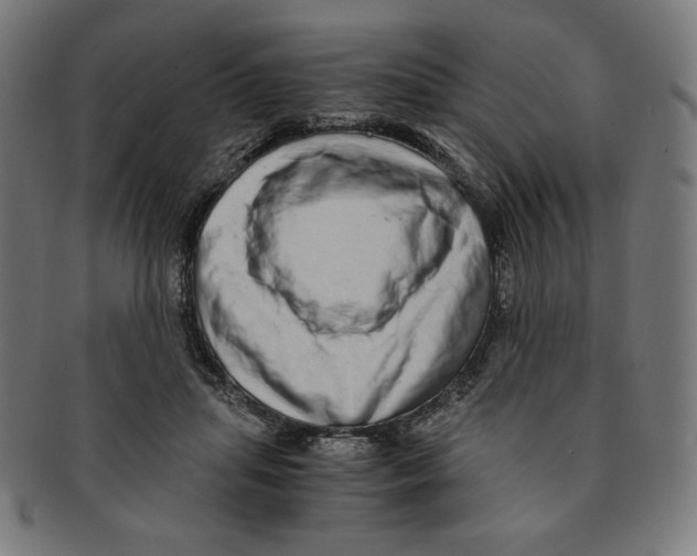 X0000091200455200709061416