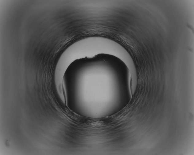 X0000091200456200709061416