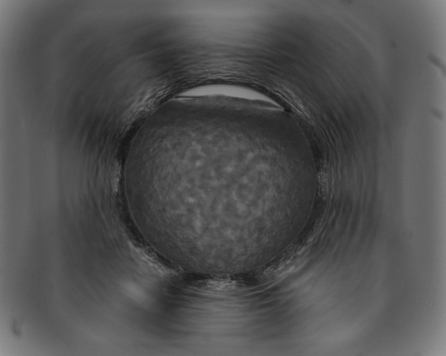 X0000091200458200709061416
