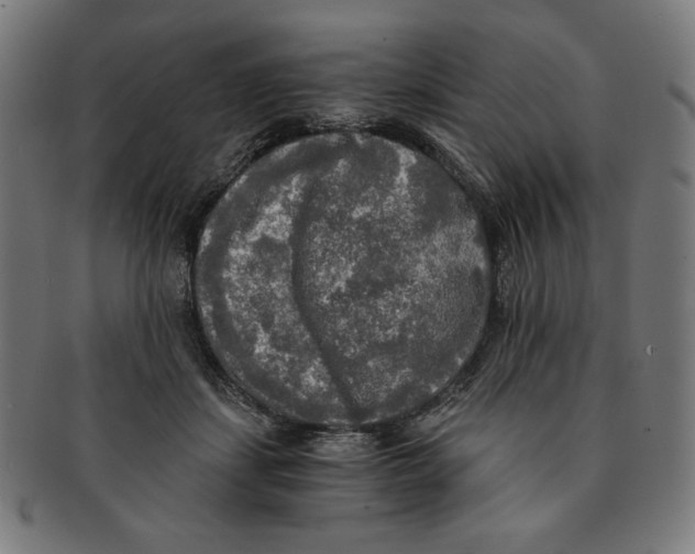X0000091200459200709061416