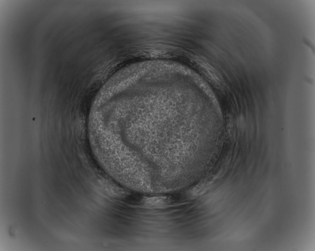 X0000091200461200709061416