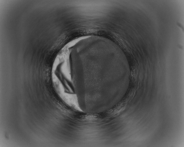 X0000091200462200709061416