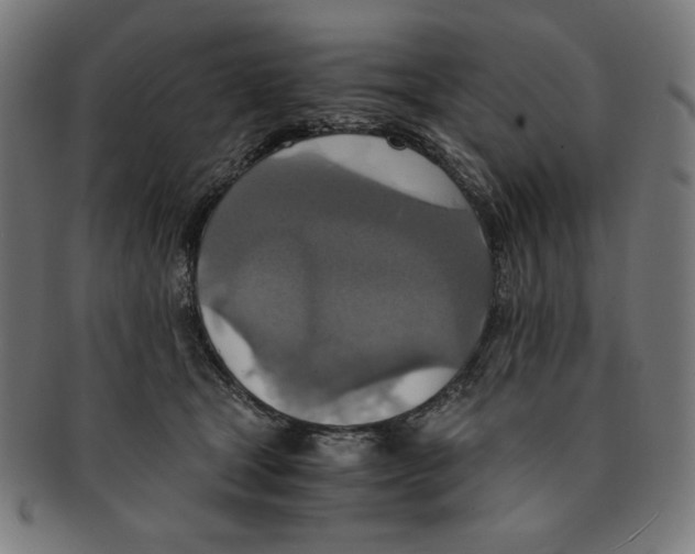 X0000091200465200709061416
