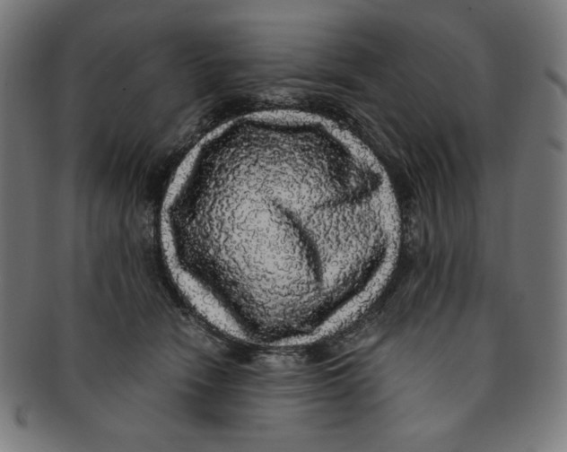X0000091200466200709061416
