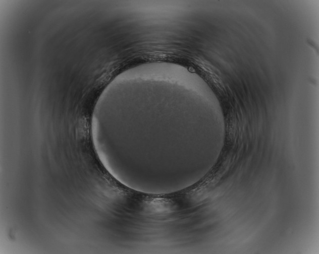 X0000091200467200709061416
