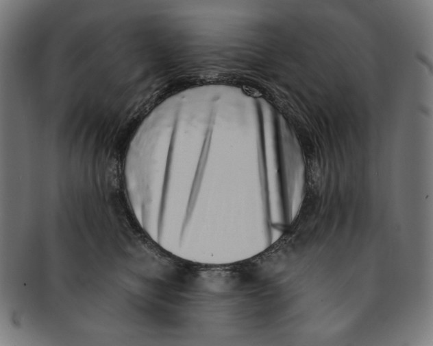 X0000091200470200709061416