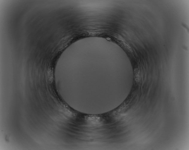X0000091200471200709061416