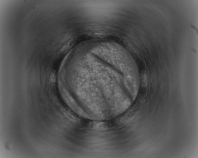 X0000091200472200709061416