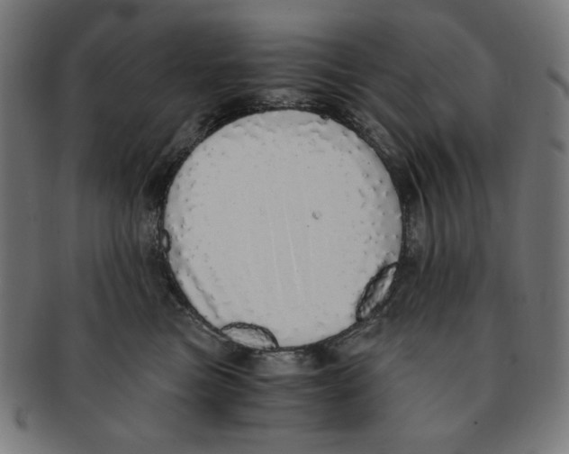 X0000091200473200709061417