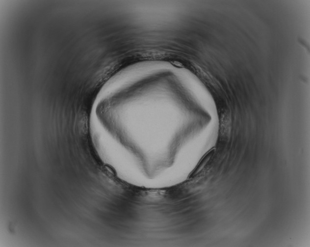 X0000091200474200709061417