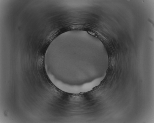 X0000091200475200709061417