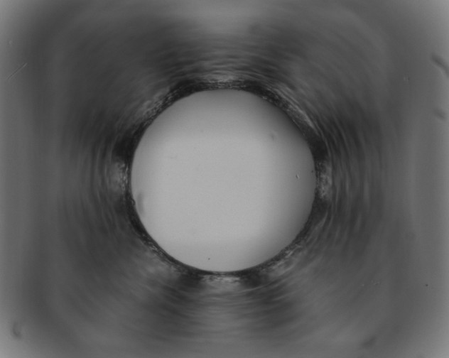 X0000091200476200709061417