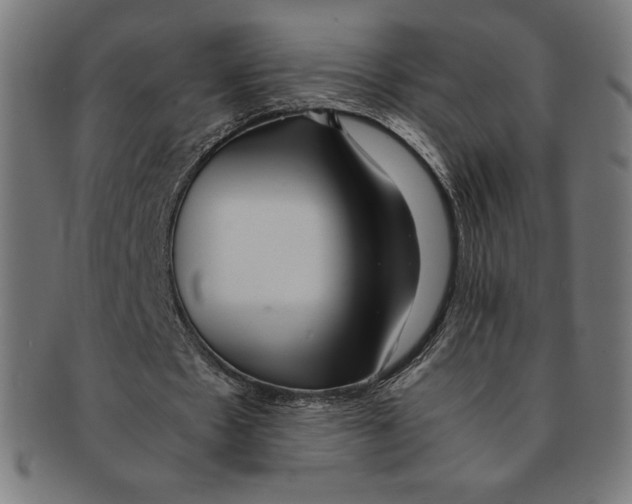 X0000091200481200709061416