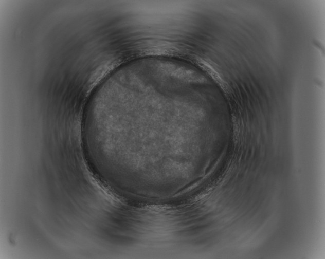X0000091200482200709061416