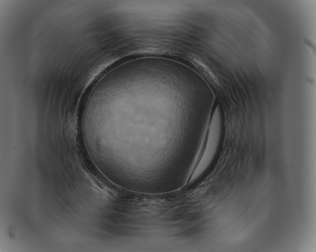 X0000091200484200709061416