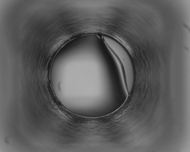 X0000091200485200709061416