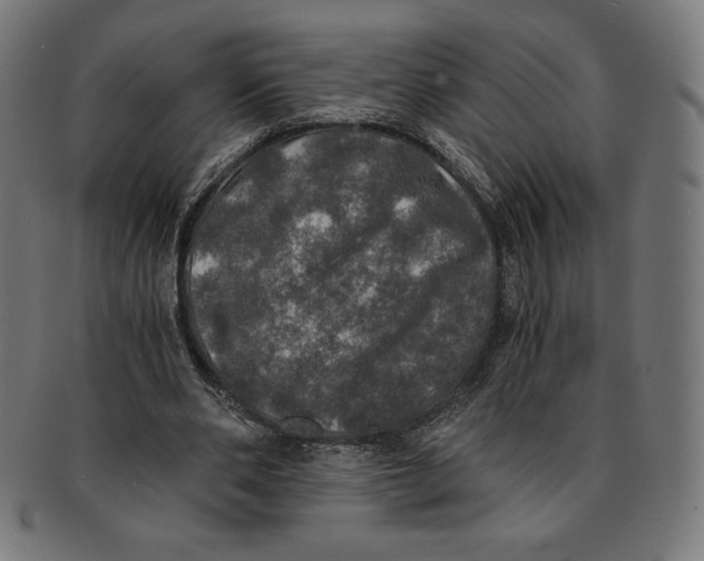 X0000091200486200709061416