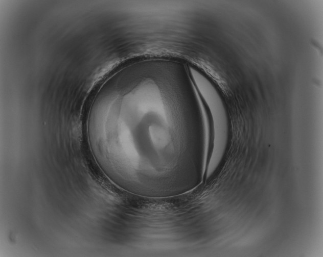 X0000091200488200709061416