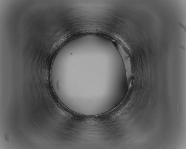 X0000091200489200709061416