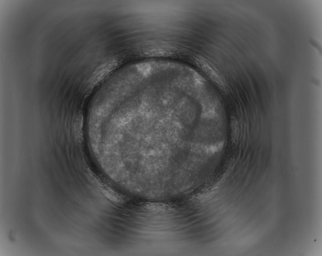 X0000091200490200709061416