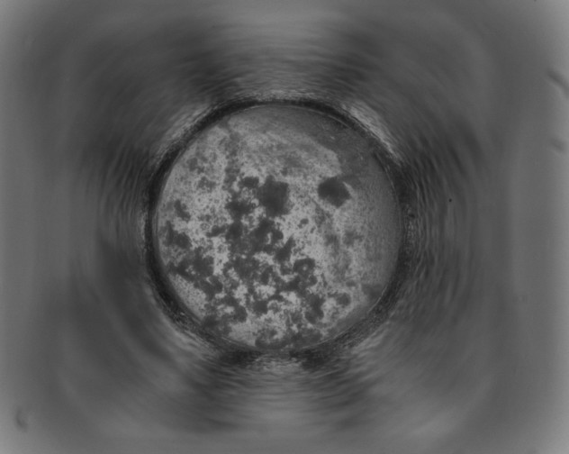 X0000091200491200709061416