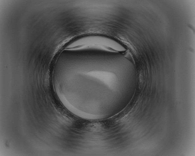 X0000091200492200709061416
