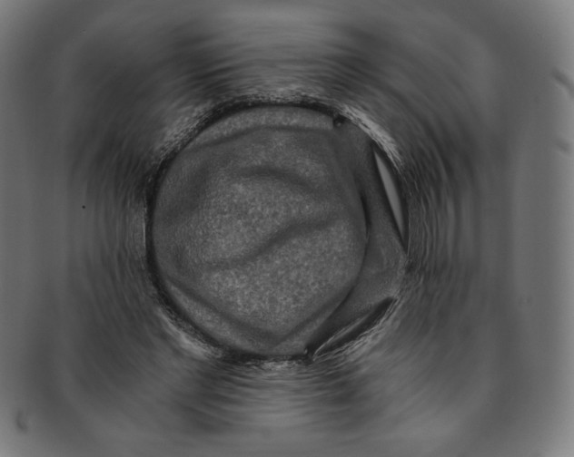 X0000091200493200709061416