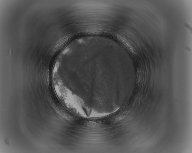 X0000091200494200709061416