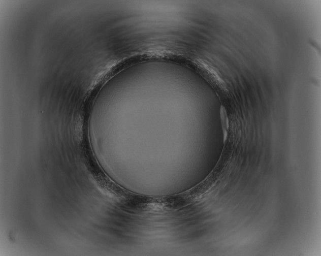 X0000091200496200709061416