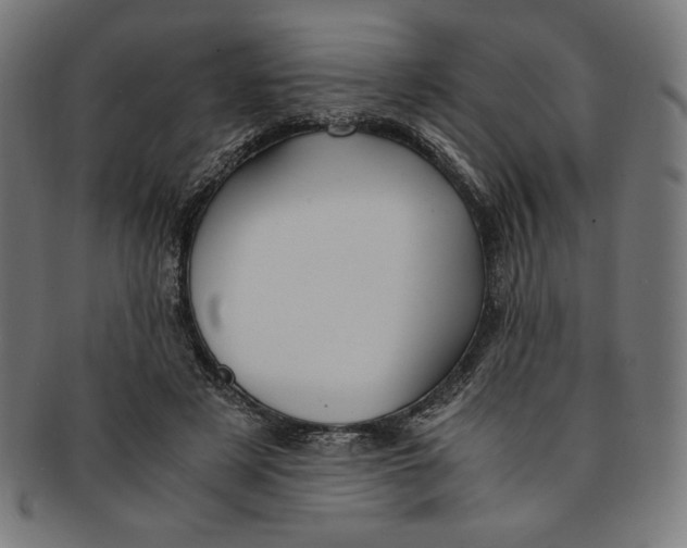 X0000091200497200709061416