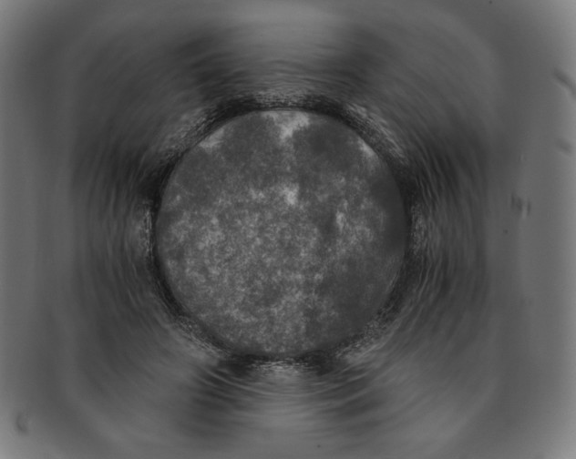 X0000091200498200709061416