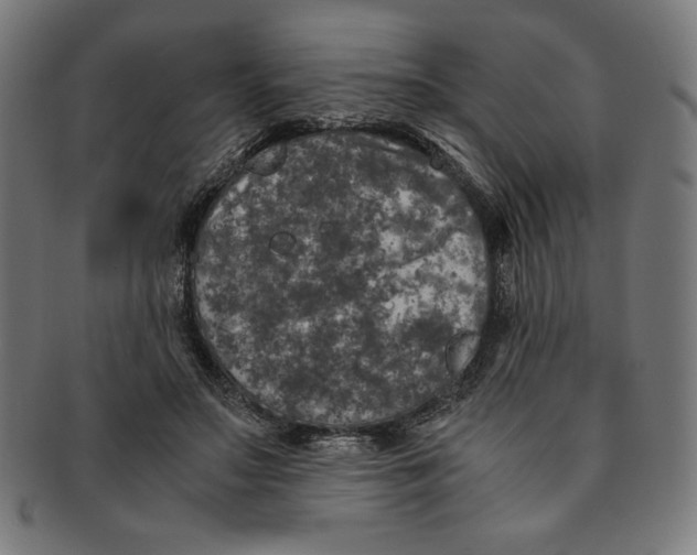 X0000091200499200709061416