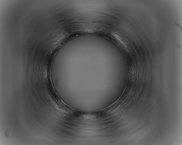 X0000091200500200709061416