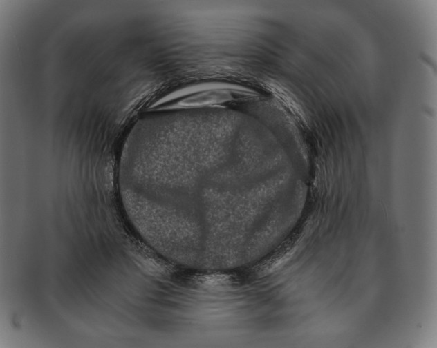 X0000091200501200709061416