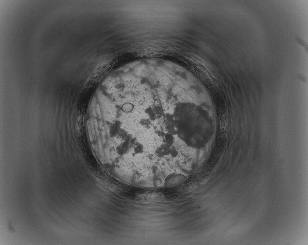 X0000091200503200709061416