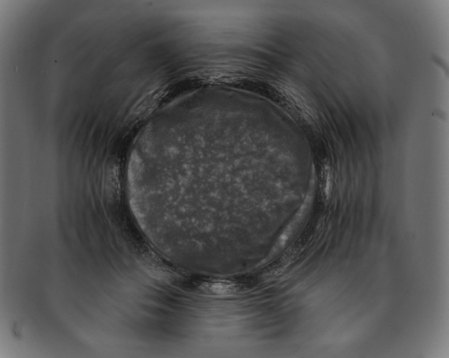 X0000091200506200709061416