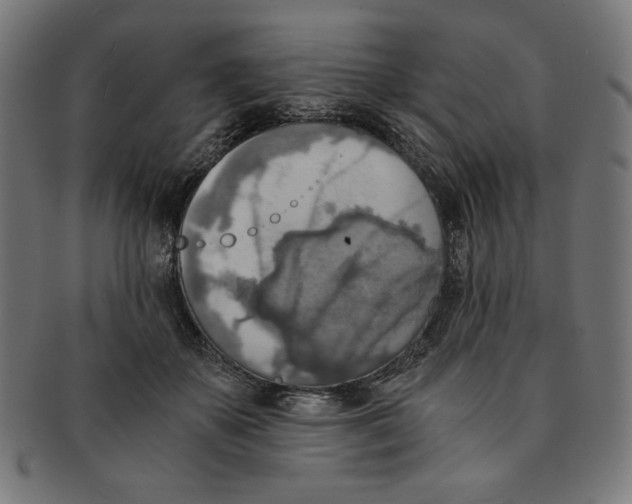 X0000091200507200709061416