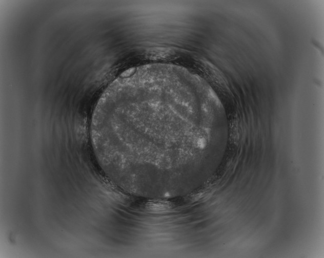X0000091200510200709061416