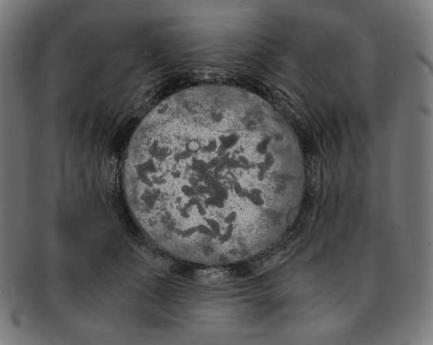 X0000091200511200709061416