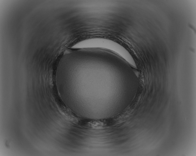 X0000091200512200709061416