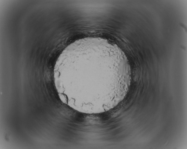 X0000091200515200709061416