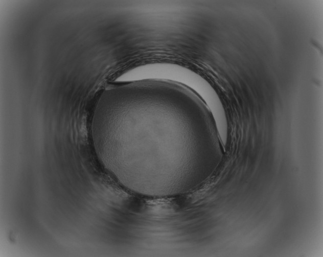 X0000091200516200709061416