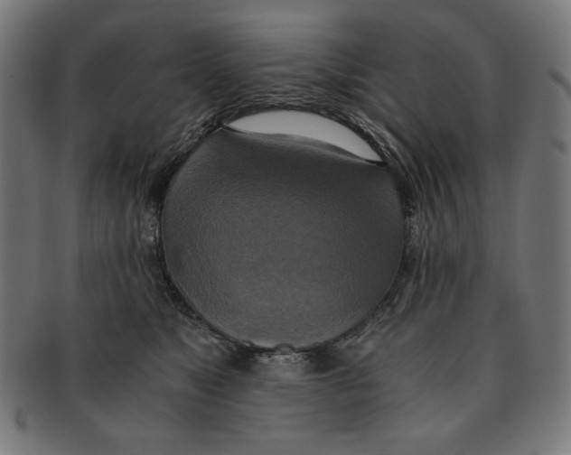 X0000091200517200709061416