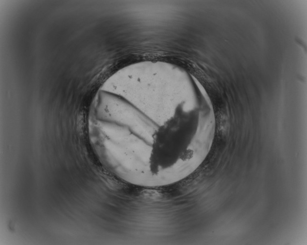 X0000091200519200709061416