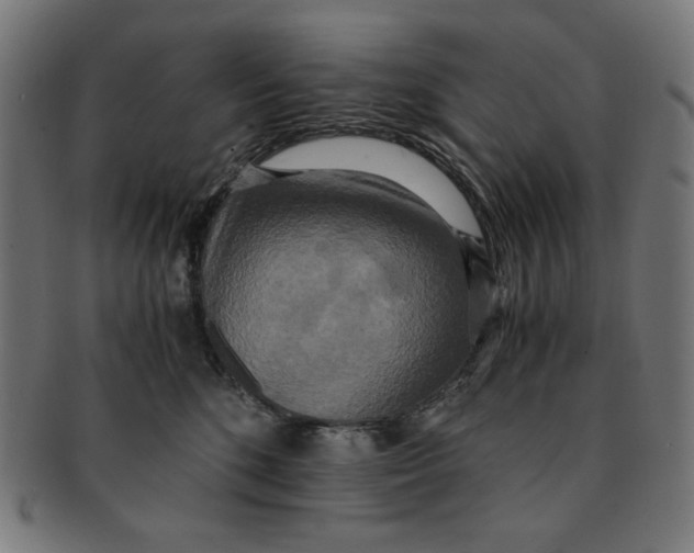 X0000091200520200709061416