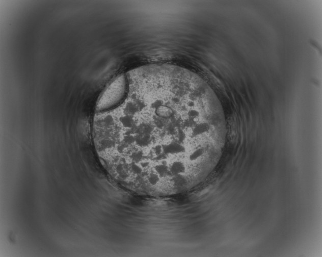 X0000091200523200709061416